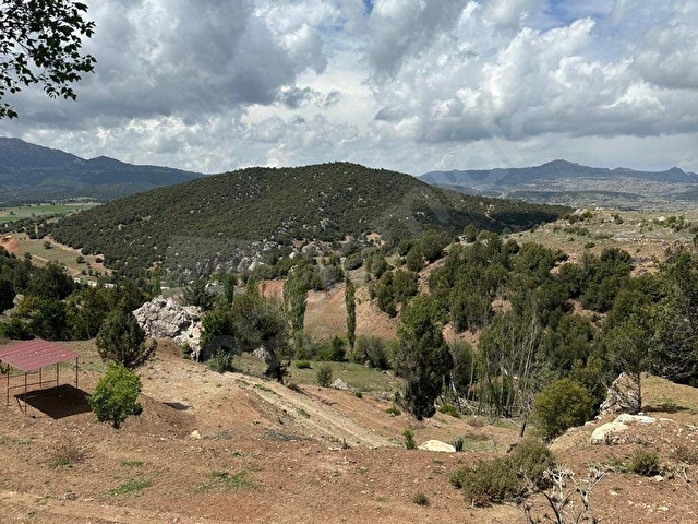 MUĞLA SEYDİKEMER BOĞALAR MAH. MÜKEMMEL ARAZİ SATIŞTA 1952 M2 - Görsel 13