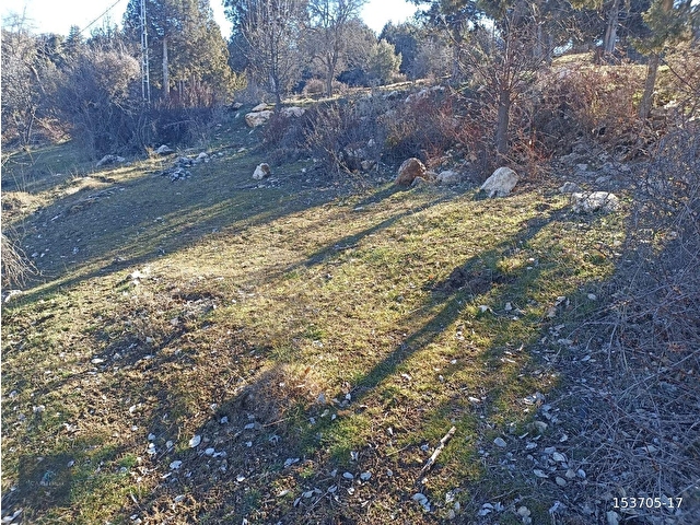 MUĞLA SEYDİKEMER BOĞALAR MAH. MÜKEMMEL ARAZİ SATIŞTA 1952 M2 - Görsel 6