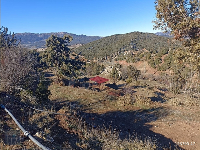 MUĞLA SEYDİKEMER BOĞALAR MAH. MÜKEMMEL ARAZİ SATIŞTA 1952 M2 - Görsel 26