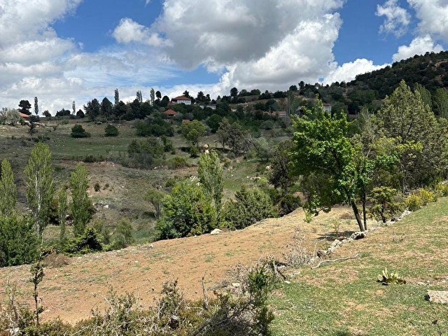 MUĞLA SEYDİKEMER BOĞALAR MAH. MÜKEMMEL ARAZİ SATIŞTA 1952 M2 - Görsel 18