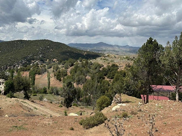 MUĞLA SEYDİKEMER BOĞALAR MAH. MÜKEMMEL ARAZİ SATIŞTA 1952 M2 - Görsel 15