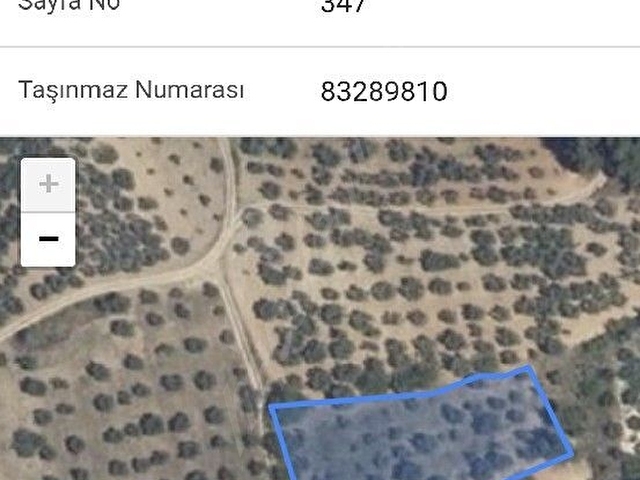 Bursa Çağlayan köyünde 2168 m2 kadastro yolu ve şehir manzarası olan,su ,elektrik yakınında tarla