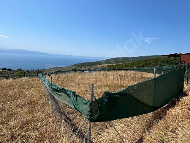 Gemlik Narlı Muhteşem Deniz ve Doğa Manzaralı Hobi Bahçesi Acil Satılık - Görsel 3