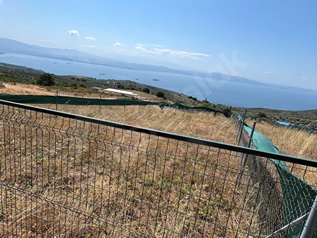 Gemlik Narlı Muhteşem Deniz ve Doğa Manzaralı Hobi Bahçesi Acil Satılık - Görsel 5