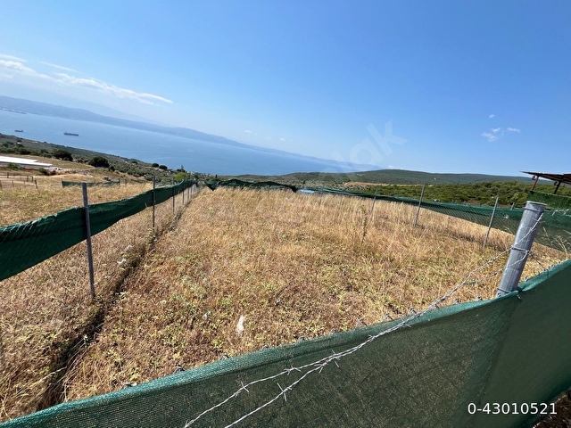 Gemlik Narlı Muhteşem Deniz ve Doğa Manzaralı Hobi Bahçesi Acil Satılık - Görsel 2