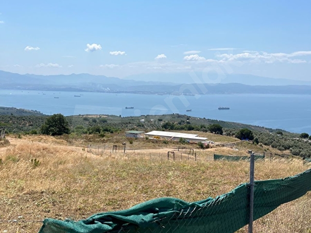 Gemlik Narlı Muhteşem Deniz ve Doğa Manzaralı Hobi Bahçesi Acil Satılık - Görsel 7