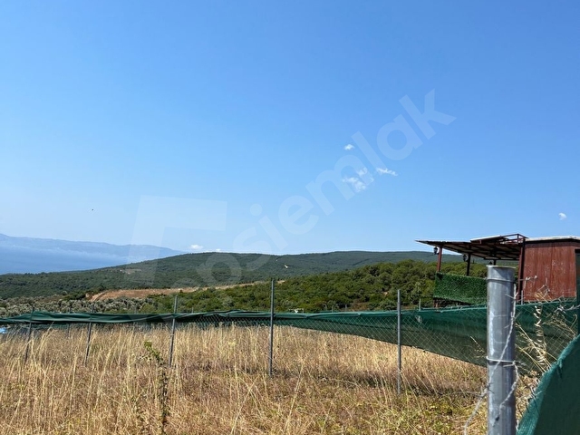 Gemlik Narlı Muhteşem Deniz ve Doğa Manzaralı Hobi Bahçesi Acil Satılık - Görsel 9