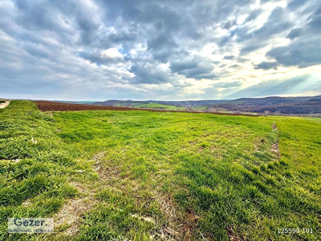 GEZER-Sipahi Köyü 6790m² Aktif Suyu Olan Yolu Açık Eğimsiz Tarla - Görsel 7