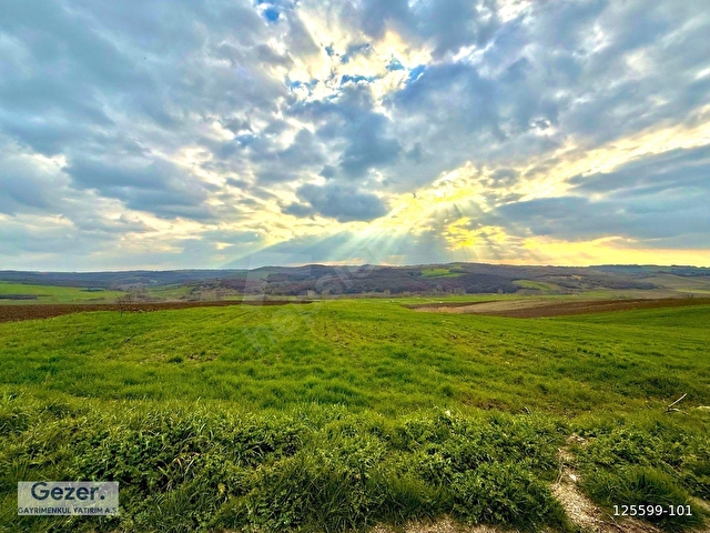 GEZER-Sipahi Köyü 6790m² Aktif Suyu Olan Yolu Açık Eğimsiz Tarla