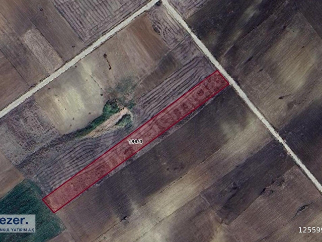 GEZER-Sipahi Köyü 6790m² Aktif Suyu Olan Yolu Açık Eğimsiz Tarla - Görsel 2