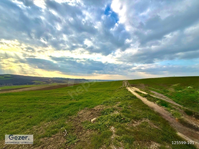 GEZER-Sipahi Köyü 6790m² Aktif Suyu Olan Yolu Açık Eğimsiz Tarla - Görsel 8