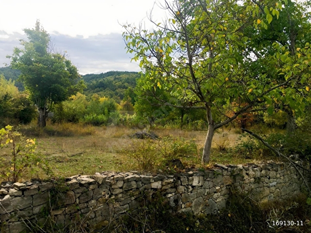 KARABÜK ESKİPAZAR TAMUŞLARDA 433m2 SATILIK İMARLI ARSA