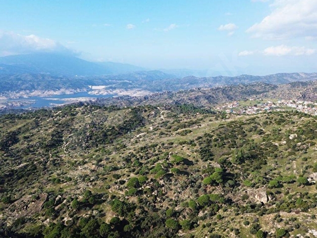 AYDIN ÇİNE HACIPAŞALAR 50.197 m² DOĞAL VADİ İÇERİSİNDE ZEYTİNLİK - Görsel 4