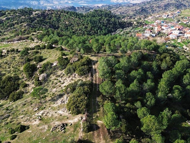 AYDIN ÇİNE HACIPAŞALAR 50.197 m² DOĞAL VADİ İÇERİSİNDE ZEYTİNLİK - Görsel 5