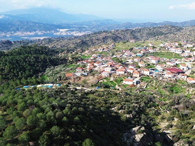 AYDIN ÇİNE HACIPAŞALAR 50.197 m² DOĞAL VADİ İÇERİSİNDE ZEYTİNLİK - Görsel 3