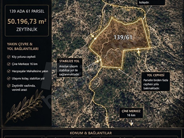 AYDIN ÇİNE HACIPAŞALAR 50.197 m² DOĞAL VADİ İÇERİSİNDE ZEYTİNLİK - Görsel 2