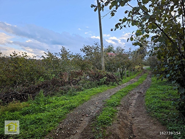 Kocaali Kadıköyde Deniz Manzaralı 4800 m2 Satılık Arsa - Görsel 12