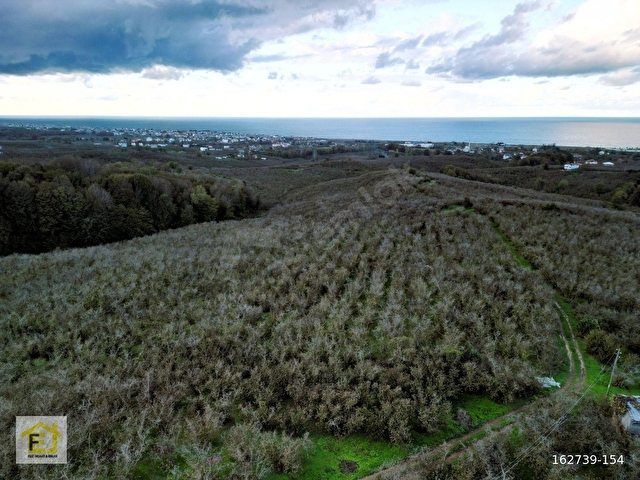 Kocaali Kadıköyde Deniz Manzaralı 4800 m2 Satılık Arsa - Görsel 8