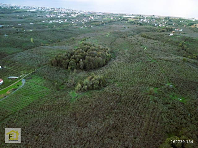 Kocaali Kadıköyde Deniz Manzaralı 4800 m2 Satılık Arsa - Görsel 4