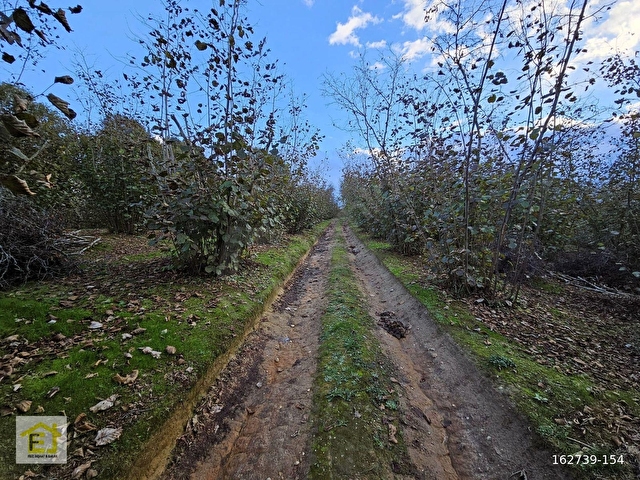 Kocaali Kadıköyde Deniz Manzaralı 4800 m2 Satılık Arsa - Görsel 13