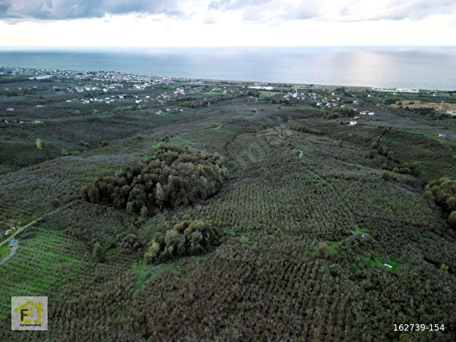 Kocaali Kadıköyde Deniz Manzaralı 4800 m2 Satılık Arsa - Görsel 5