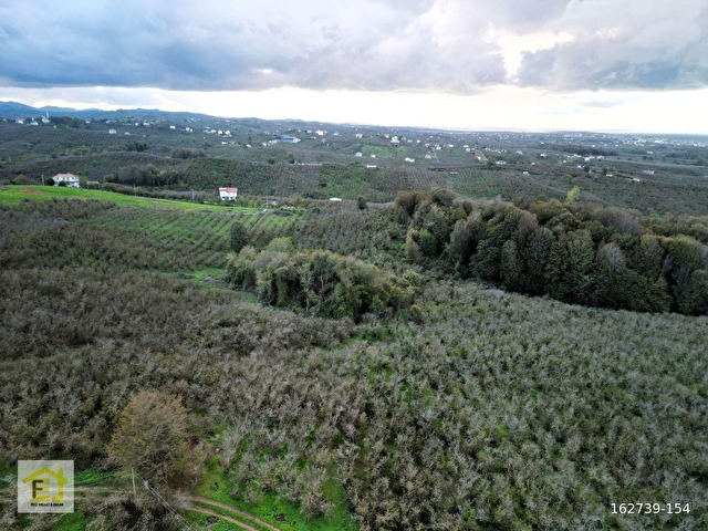 Kocaali Kadıköyde Deniz Manzaralı 4800 m2 Satılık Arsa - Görsel 7