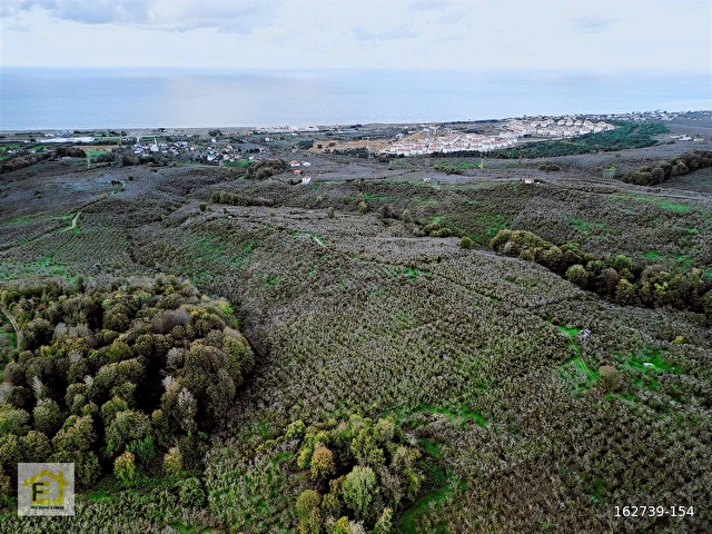 Kocaali Kadıköyde Deniz Manzaralı 4800 m2 Satılık Arsa - Görsel 2