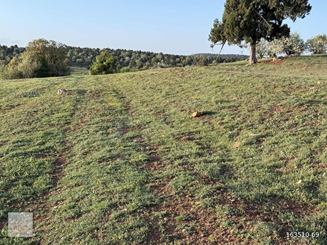 KONYA ÇUMRA TAHTALI KÖYÜNDE KÖYE YAKIN 1.986M² SATILIK TARLA - Görsel 11