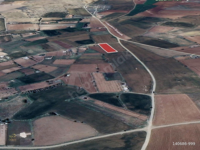 KARADİĞİNDE EKİM DİKİME UYGUN 1.906 M² SULAK MÜSTAKİL TARLA - Görsel 3
