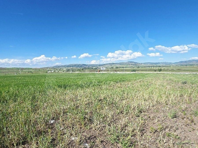 Tokat Çamlıbelde satılık imarlı arsa