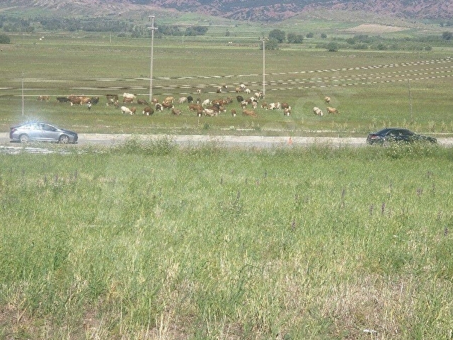 Tokat Çamlıbelde satılık imarlı arsa - Görsel 7
