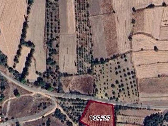 MERKEZ EMLAKTAN DAĞARCIK KÖYÜNDE 3.960 m2 TARLA