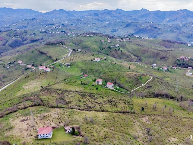 GÜLYALI AYRILIK MAHALLESİ SATILIK BAHÇE ARAZİSİ - Görsel 7