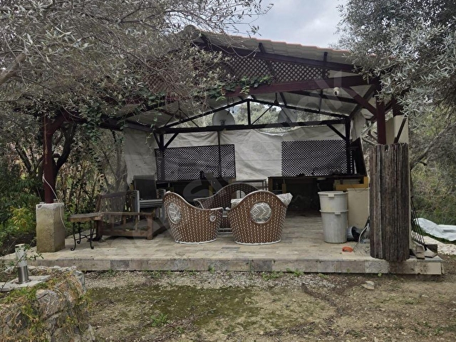 DENİZ MANZARALI ZEYTINLIK - Görsel 28