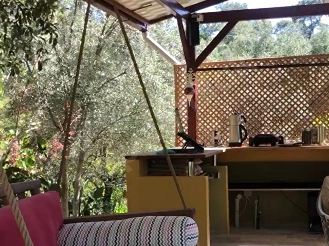 DENİZ MANZARALI ZEYTINLIK - Görsel 22