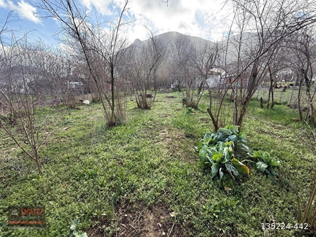 BURDUR-ÇELTİKÇİ-KUZKÖY’DE YERLEŞİM İÇİ SATILIK BAHÇE - Görsel 3