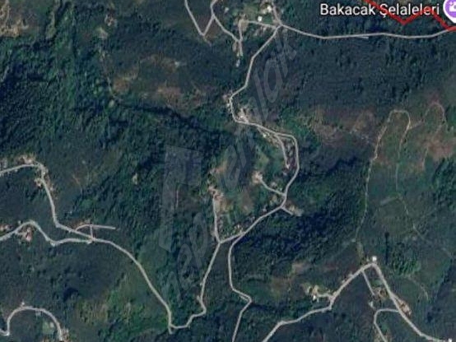 ASİL EMLAK | GÖLYAKA SAÇMALIPINAR HİSSELİ 1.500m2 SATILIK