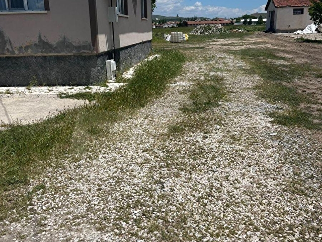 SILAM EMLAKTAN SUSUZ KASABASINDA 1380M² ARSA VE 3+1 MÜSTAKİL EV - Görsel 5