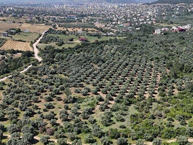 KOZAN DİVAN EMLAKTAN AĞLIBOĞAZDA YATIRIMLIL 416 m2 ARSALAR - Görsel 6