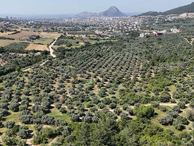 KOZAN DİVAN EMLAKTAN AĞLIBOĞAZDA YATIRIMLIL 416 m2 ARSALAR - Görsel 3