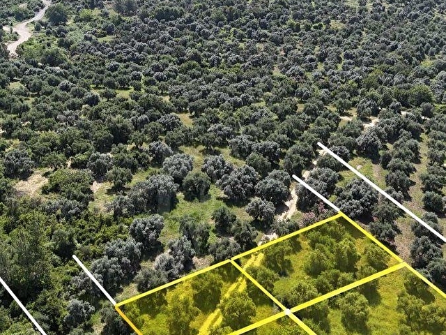 KOZAN DİVAN EMLAKTAN AĞLIBOĞAZDA YATIRIMLIL 416 m2 ARSALAR