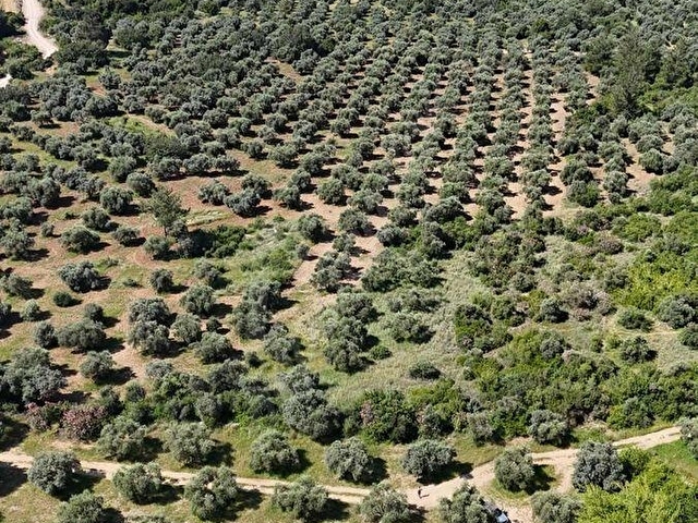 KOZAN DİVAN EMLAKTAN AĞLIBOĞAZDA YATIRIMLIL 416 m2 ARSALAR - Görsel 4