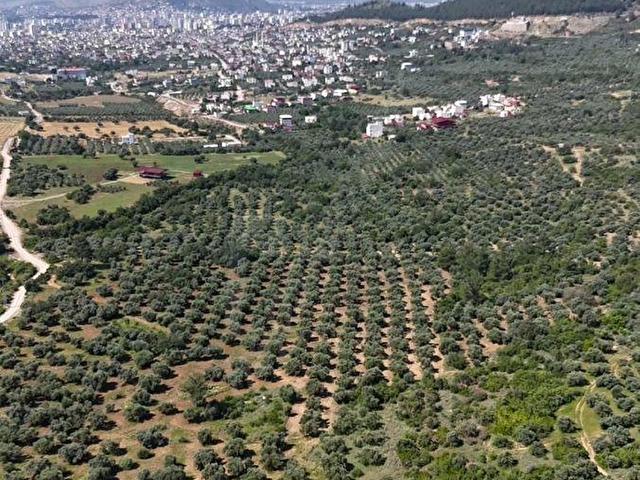 KOZAN DİVAN EMLAKTAN AĞLIBOĞAZDA YATIRIMLIL 416 m2 ARSALAR - Görsel 8