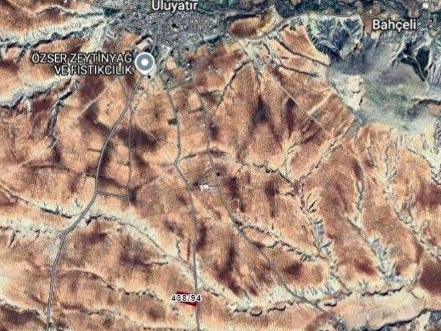 NİZİP ULUYATIRDA SATILIK YATIRIMLIK VE VERİMLİ ARAZİ - Görsel 8