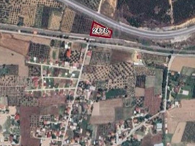 ASLANLAR KÖYÜNDE BAYINDIR ASFALTI CEPHELİ ZEYTİNLİK - Görsel 9