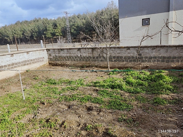KOYUNBABA MAHALLESİ KENT ORMANI YANINDA MÜSTAKİL EV - Görsel 17