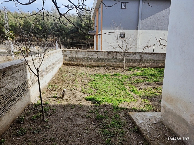 KOYUNBABA MAHALLESİ KENT ORMANI YANINDA MÜSTAKİL EV - Görsel 15