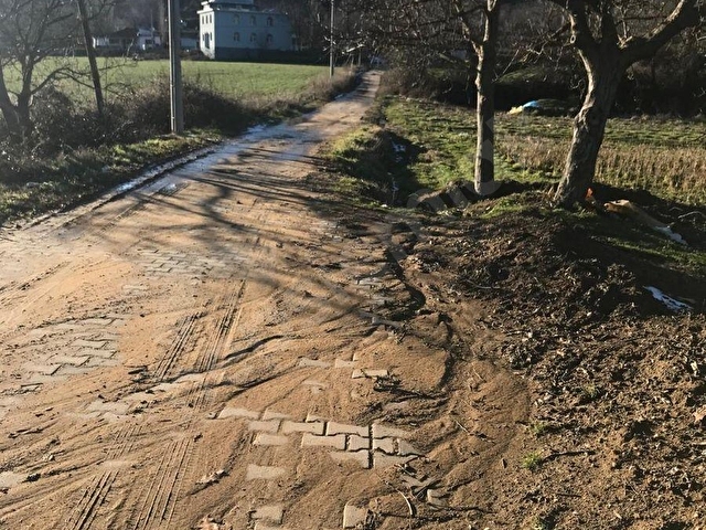 GÜLCÜ GAYRİMENKULDEN SUBATANDA SATILIK TARLA - Görsel 12