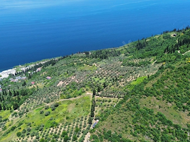 KÖPRÜBAŞI EMLAKTAN SATILIK TEPEKÖYDE DENİZ MANZARA 2757m2 TARLA - Görsel 2
