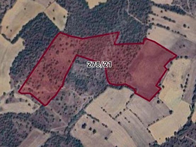 NAZ-EMDEN UŞAK EŞME TAKMAK KÖYÜ ERKEÇLER MEVKİİ 75.640 M2 TARLA